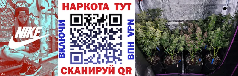 Наркошоп купить Бошки Шишки  APVP  ГАШ  Псилоцибиновые грибы  Мефедрон  Челябинск