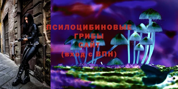MESCALINE Кинешма